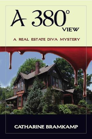 [Real Estate Diva Mysteries 05] • A 380 Degree View